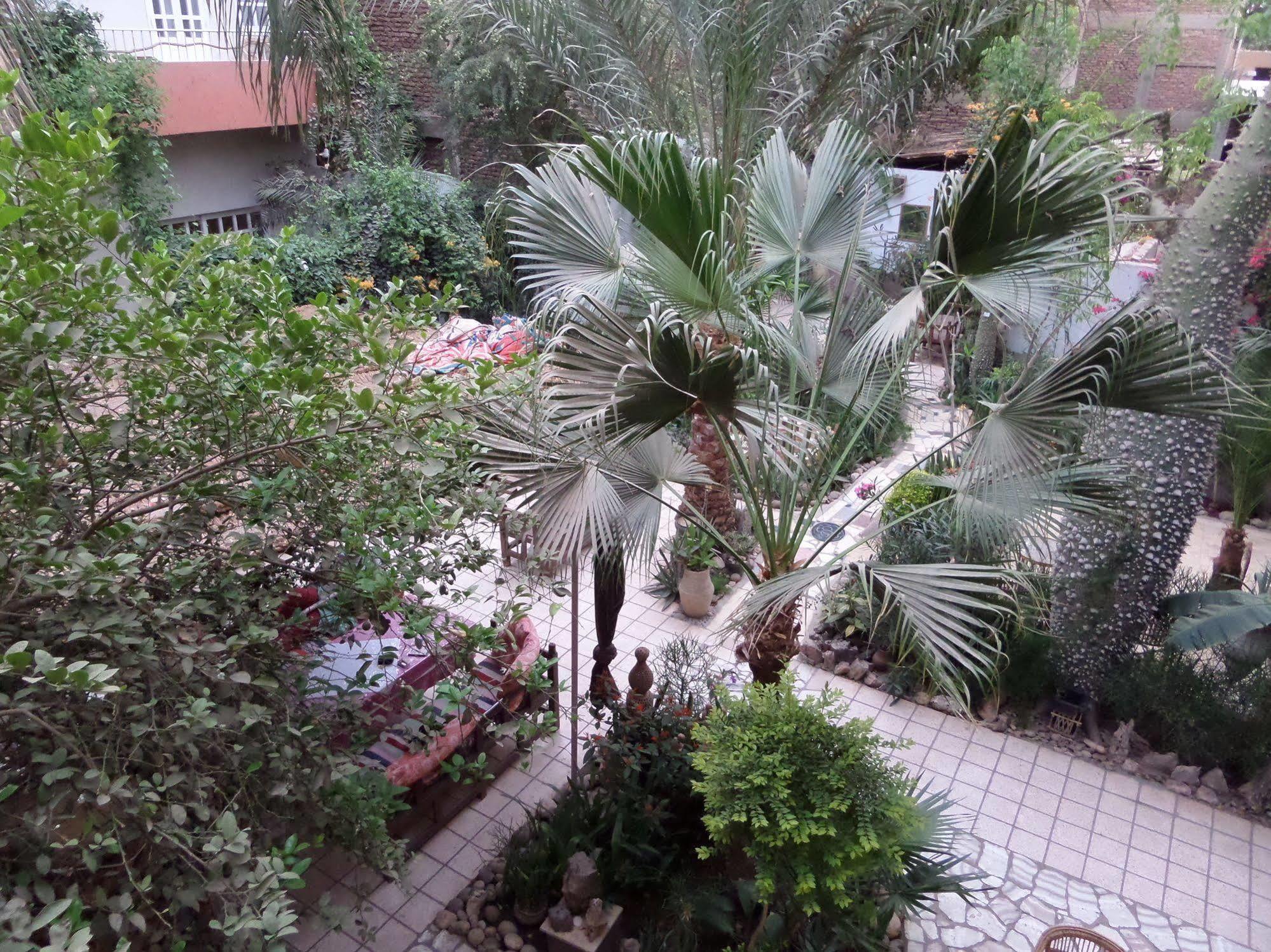 Amon Hotel Luxor Eksteriør billede